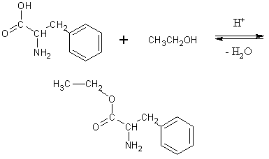 esterifikacija fenilalanina etanolom